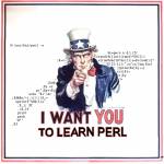 perl.jpg