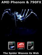 amd_spider