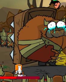 Castle Crashers