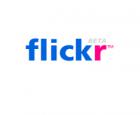 flickr-logo1