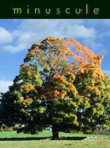 Minuscule