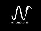 naturalmotion