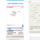 quintura-site-search