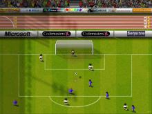 Sensible World Of Soccer