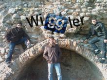 Wiggler logo on the rocks